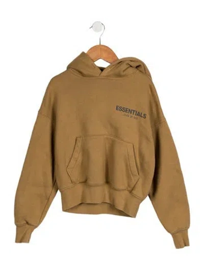 Pre-owned Essentials Babies' Toddler Boys' Logo Hoodie In Neutrals