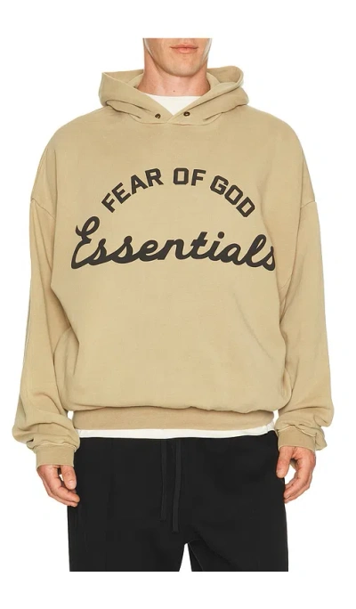 Essentials Training 90's Hoodie In Brown