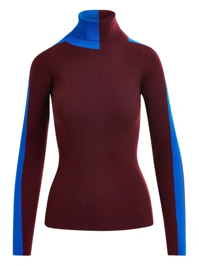 Essentiel Antwerp Iffort Turtleneck Sweater In Multi