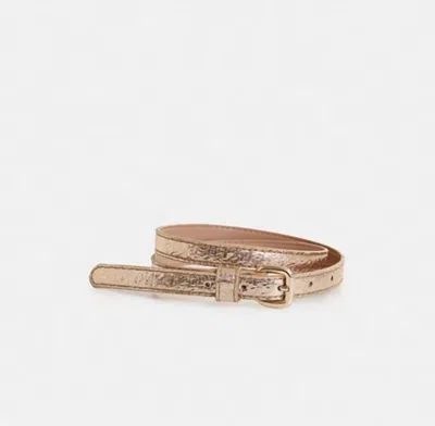 Essentiel Antwerp Ilida Shiny Thin Belt In Gold