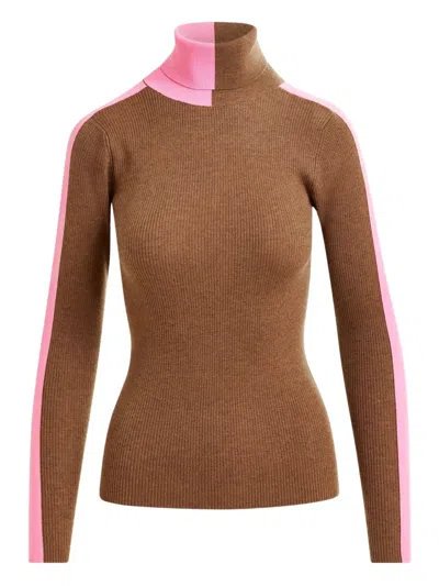 Essentiel Antwerp Stripe-detail Turtleneck Sweater In Brown