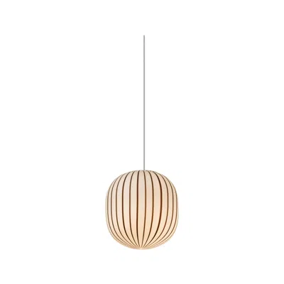 Pre-owned Established & Sons Filigrana Small Suspension Lamp In Black By Sebastian Wrong