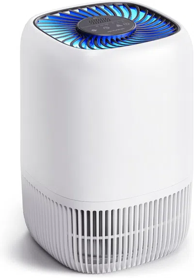 Estassay Air Purifiers For Home With H13 True Hepa Filter Up To 1076 Ft² For Pet Hair, Odors, Pollen, Smoke, 