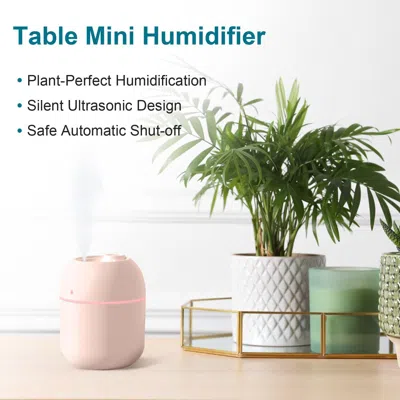 Estassay (fst-ev-6)portable Mini Humidifier, 220ml,small Cool Mist Humidifier, Usb Personal Desktop Humidifie