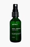 Esteli Botanical Face Mist In Dark Green