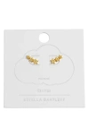 Estella Bartlett Cubic Zirconia Star Ear Crawler Earrings