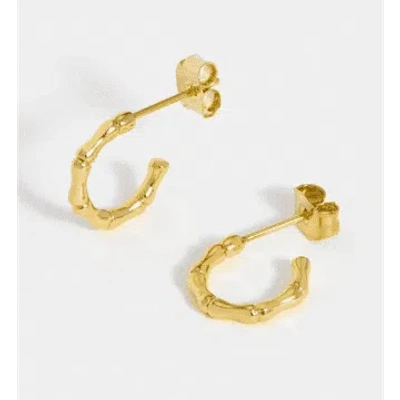 Estella Bartlett Small Bamboo Hoops Earrings In Gold