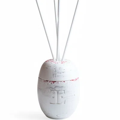 Esti Living Silver Glow Reed Diffuser Set