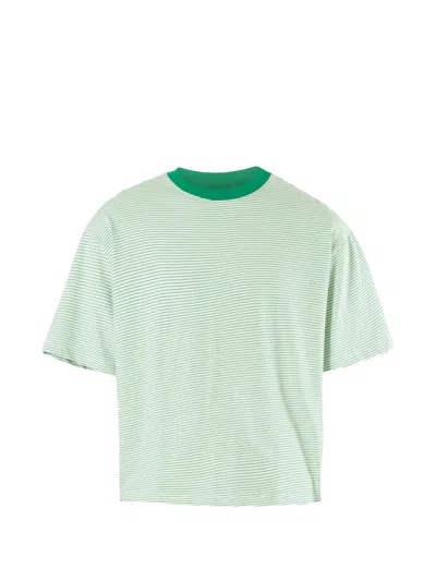 Estudio Niksen Signature Cropped Striped T-shirt In Green