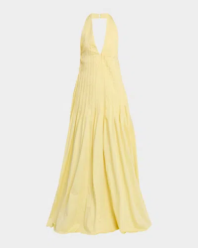 Et Ochs Backless Pleated Cotton Poplin Maxi Dress In Yellow