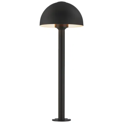 Et2 Alumilux: Landscape 21 1/4" High Black Dome Light