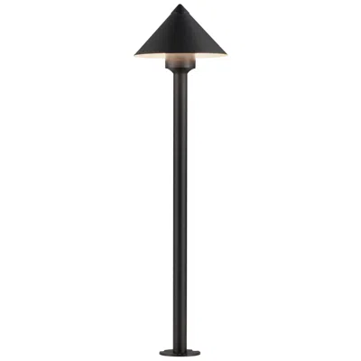 Et2 Alumilux: Landscape 29 3/4" High Black Cone Light