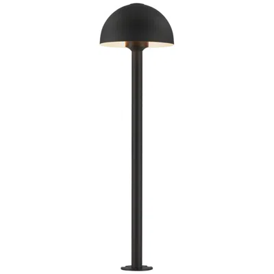 Et2 Alumilux: Landscape 29" High Black Dome Light