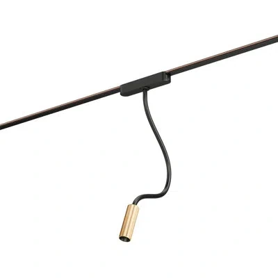 Et2 Continuum - Track Led Adjustable Track Pendant In Black,gold