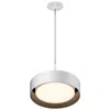Et2 Echo 13" Led Pendant