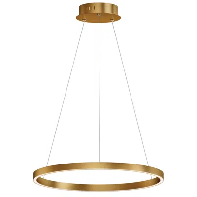 Et2 Groove 23 1/2" Wide Gold Led Ring Pendant Light