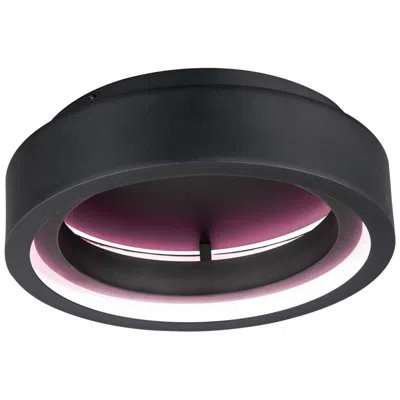 Et2 Icorona 18" Led Surface Mount Wiz Color
