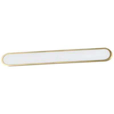 Et2 Lattitude 48" Wide Gold Led Bath Vanity Light