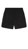 Etai La Muy Thai Shorts In Black