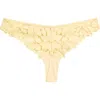 Etam Celeste Tanga In Multi