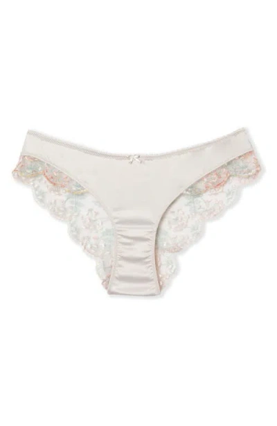 Etam Infusion Embroidered Hipster Briefs