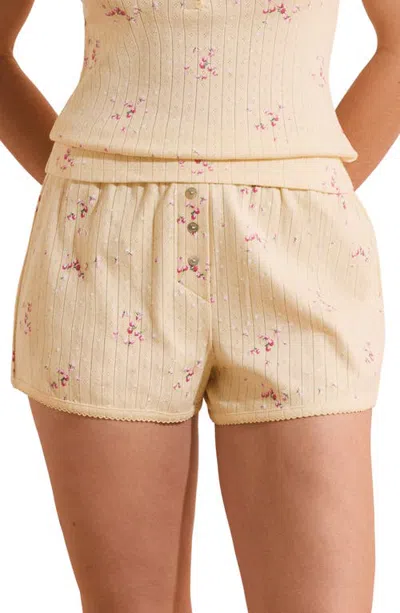 Etam Katell Pointelle Cotton Pajama Shorts In Neutral