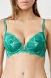 Etam Prelude Classique Embroidered Underwire Bra In Green