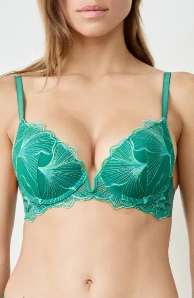 Etam Prelude Classique Embroidered Underwire Bra In Green