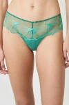 Etam Prelude Embroidered Tulle Hipster Panties In Green