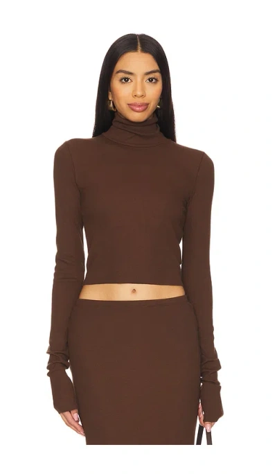 Éterne Cropped Fitted Turtleneck Top In Brown