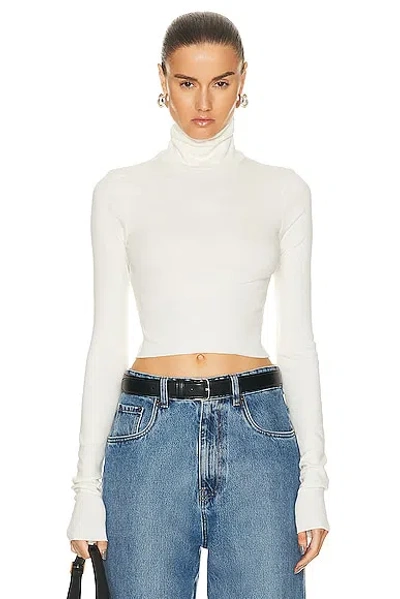 ÉTERNE CROPPED FITTED TURTLENECK TOP