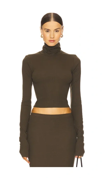 Éterne Cropped Fitted Turtleneck Top In Green