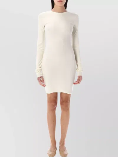 Éterne Eterne Long Sleeve Crewneck Mini Dress In Beige