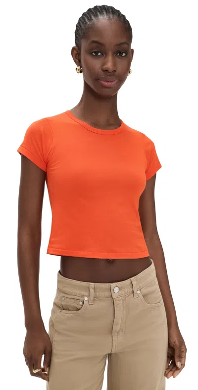 Éterne Short Sleeve Baby Tee Papaya In Orange