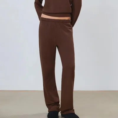 Éterne Straight Leg Sweatpants In Chocolate In Brown