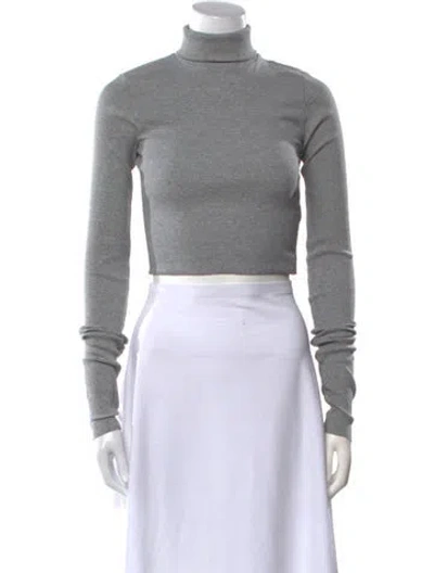Pre-owned Éterne Turtleneck Long Sleeve Crop Top W/ Tags In Gray