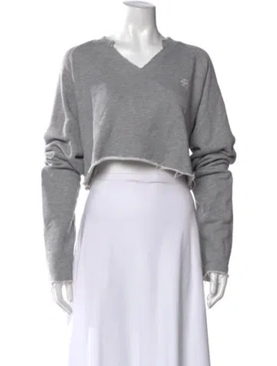Pre-owned Éterne V-neck Long Sleeve Crop Top In Gray