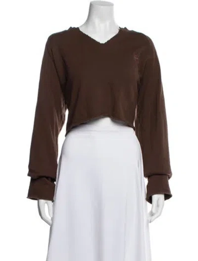 Pre-owned Éterne V-neck Sweater In Brown