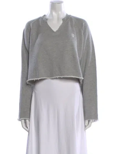 Pre-owned Éterne V-neck Sweater In Gray