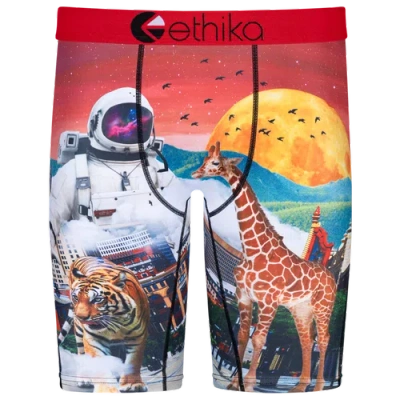 Ethika Boys   Astro Zoo Underwear In Red/multi