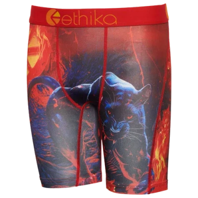 Ethika Kids' Boys   Graphic Briefs