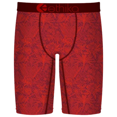 Ethika Kids' Boys   Graphic Briefs