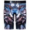 Ethika Boys   Graphic Briefs In Blue/brown