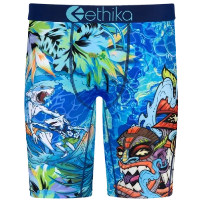 Ethika Kids' Boys   Graphic Briefs In Blue/green