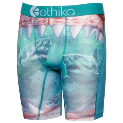 Ethika Kids' Boys   Graphic Briefs In Blue/green