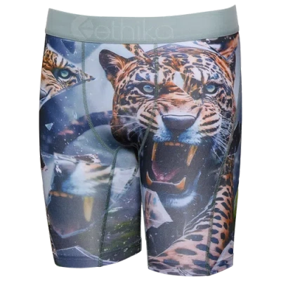 Ethika Kids' Boys   Graphic Briefs In Blue
