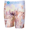 Ethika Boys   Graphic Briefs In Multi