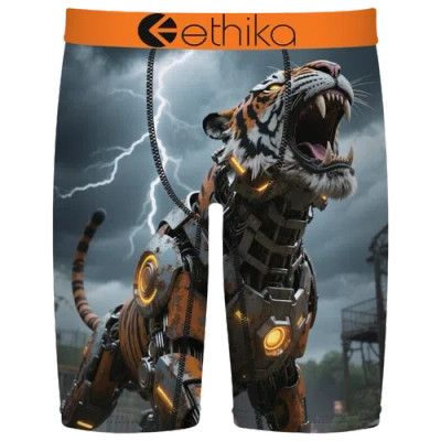 Ethika Kids' Boys   Graphic Briefs In Multi