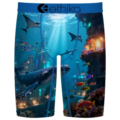 Ethika Kids' Boys   Graphic Briefs In Multi