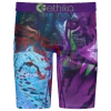 Ethika Boys   Graphic Briefs In Purple/blue